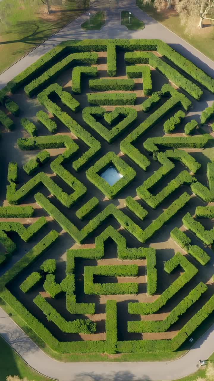 Vertical video: Descending drone camera steadying over hedged maze in park showing reflecting pool