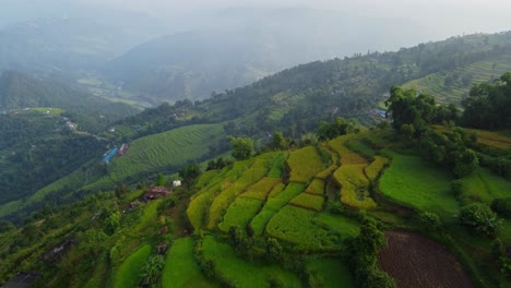 spectacular elevated terraced hillsides in nepal
