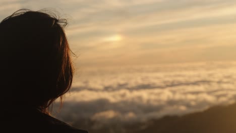 profile of a woman in golden hour light, hair flowing in the wind as she gazes at a sunset above the clouds.