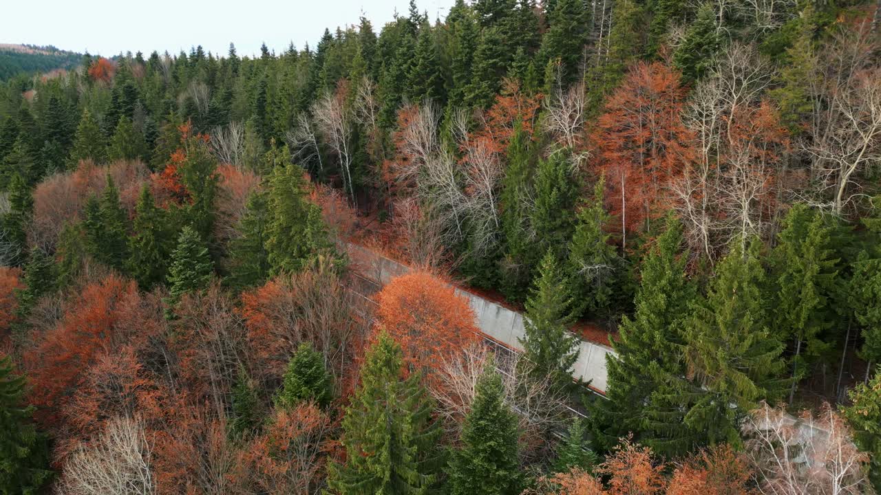Mountain Forest Road During The Autumn Season In Romania. Aerial Pullback Shot