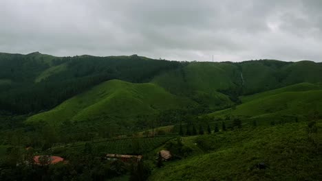 Cámara-Panorámica-Revela-Toma-De-Una-Plantación-De-Té-De-Derecha-A-Izquierda-Desde-Arriba-En-Vagamon,-Kerala,-India