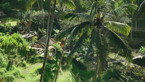 Jungle-Greenery-With-Touristic-Spots-At-Alas-Harum-Bali-In-Tegallalang,-Indonesia