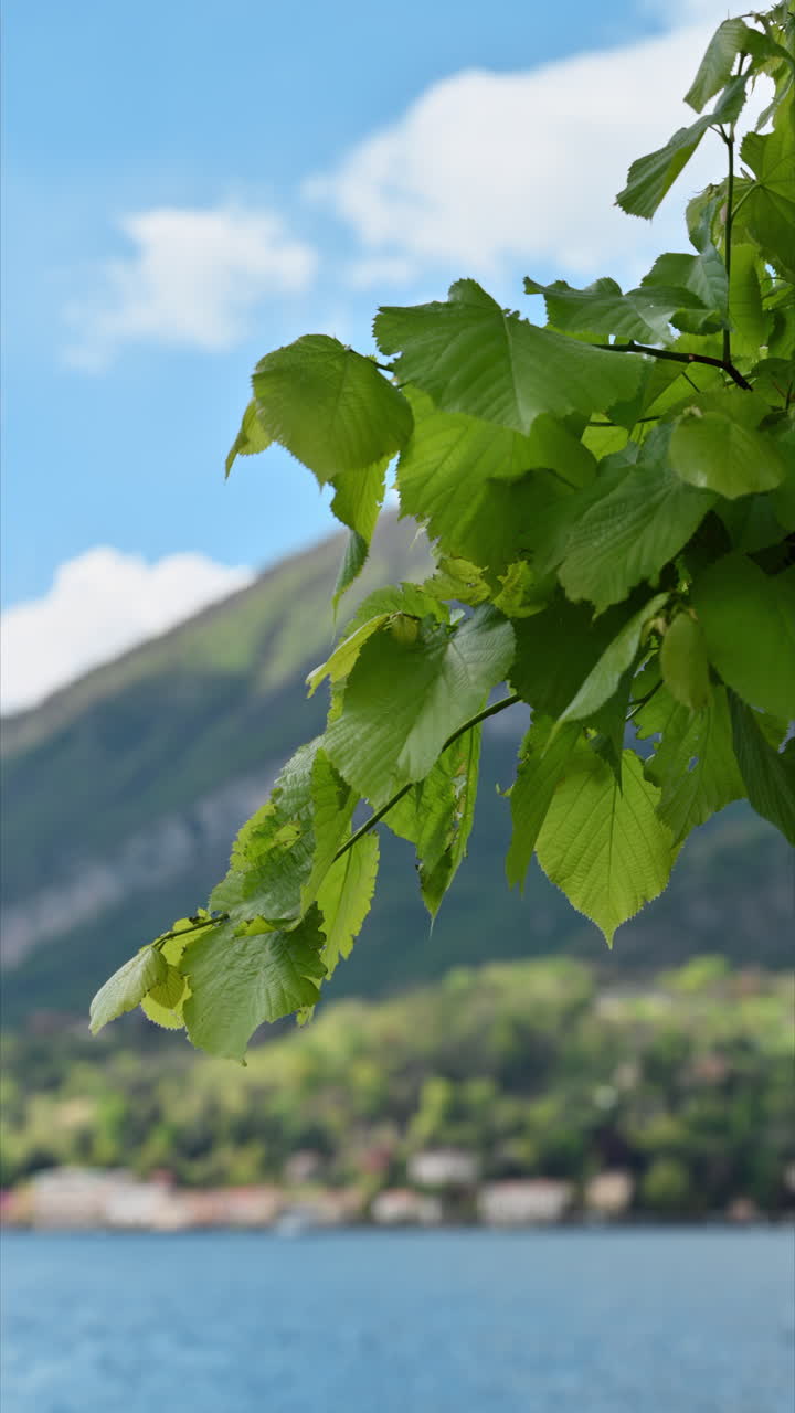 Scenic view of Lake Como and the town of Menaggio, Italy. Vertical