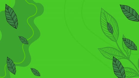 animación de hojas sobre fondo verde