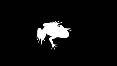 la rana saltando en la pantalla verde 4k (loopable) video de stock