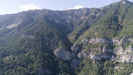 mountainous landscape with forest