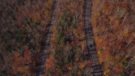 Autopista-Curva-En-El-Bosque-De-Las-Montañas-Blancas-Durante-El-Otoño,-Estados-Unidos