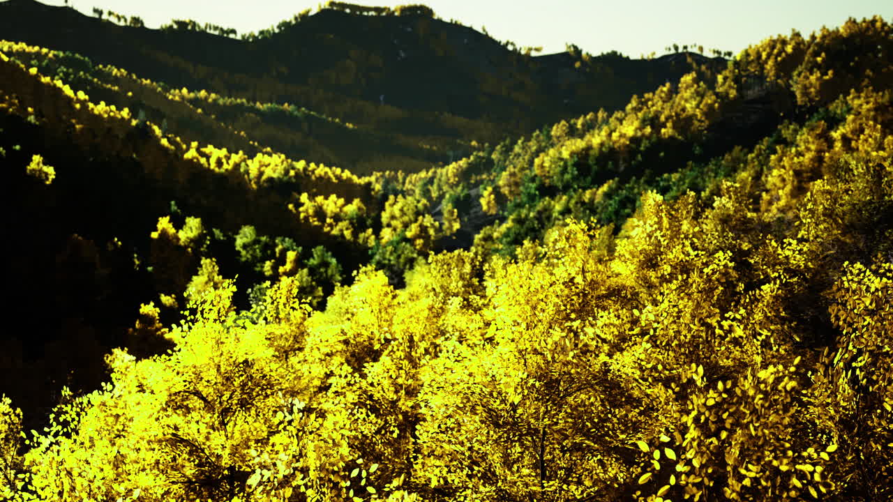 Vibrant autumn foliage covering rolling hills during the golden hour in nature