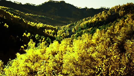 vibrant autumn foliage covering rolling hills during the golden hour in nature