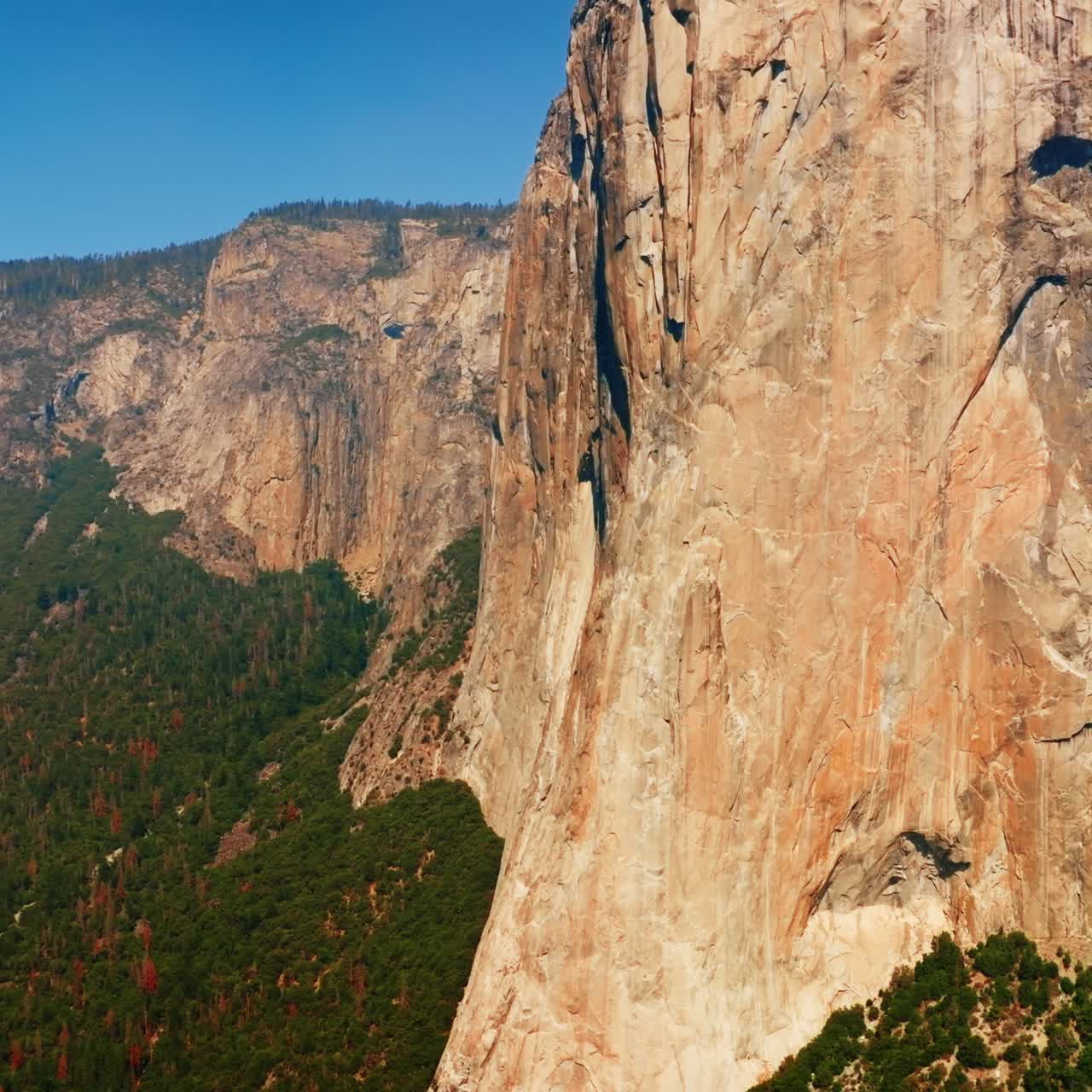 Bare enormous cliffs with pine trees on top and at the foot. Stunning rocks of Yosemite National Park, California, USA