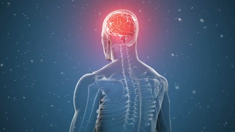 Animation-of-human-brain-and-human-body-on-blue-background