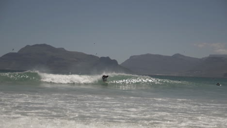 cámara lenta de surfistas a lo largo de la costa en sudáfrica