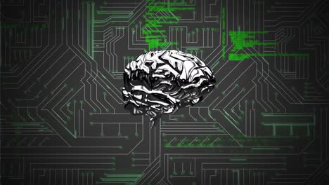 Brain and a digital circuit with program codes