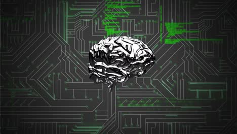 brain and a digital circuit with program codes