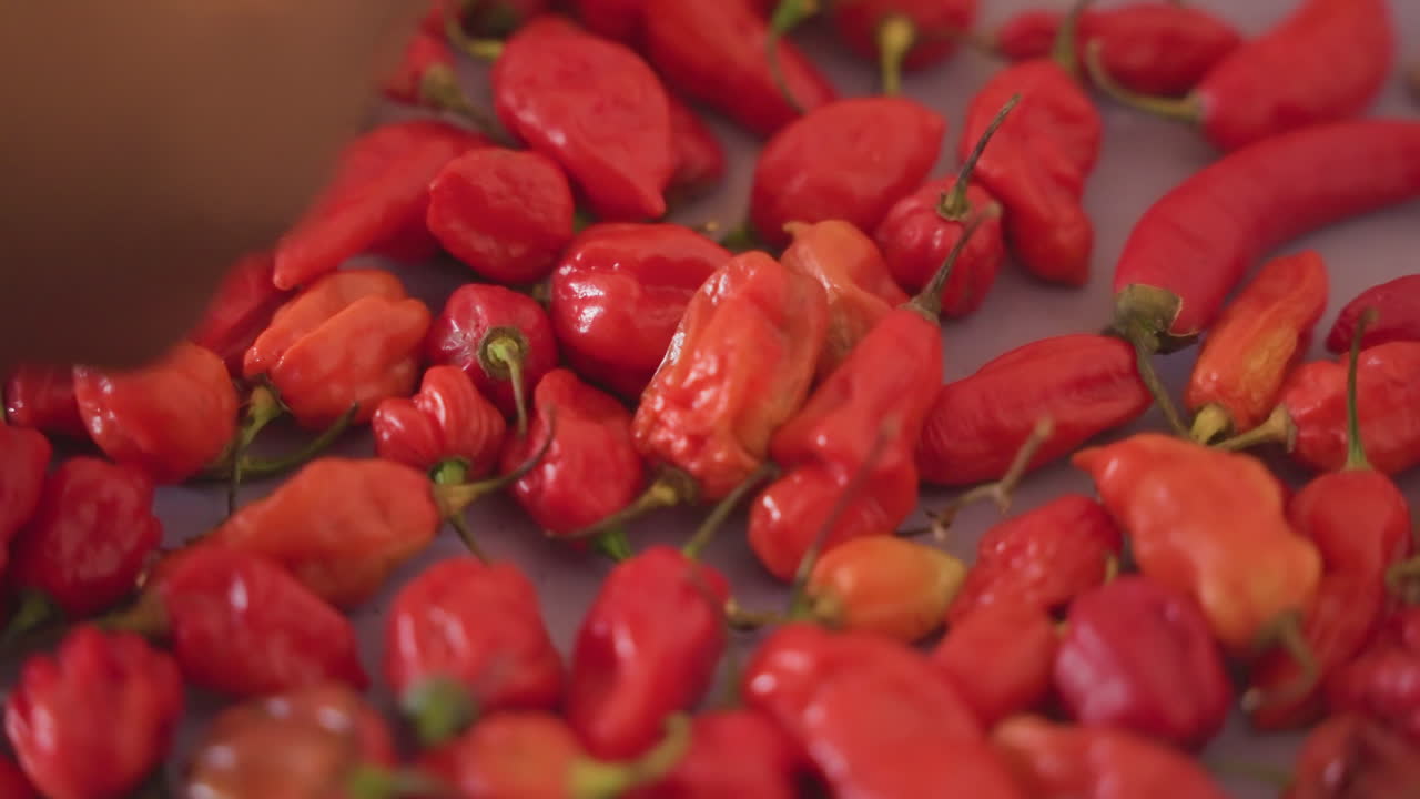 Close-up de pimentas vermelhas espalhadas sobre a mesa, mão de vendedor de mercado selecionando pimentões maduros, cascas brilhantes e movimento tátil de classificação, pilha cheia evoca atmosfera de mercado de especiarias e comércio de produtos frescos