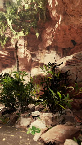 plantas verdes creciendo en un cañón estrecho