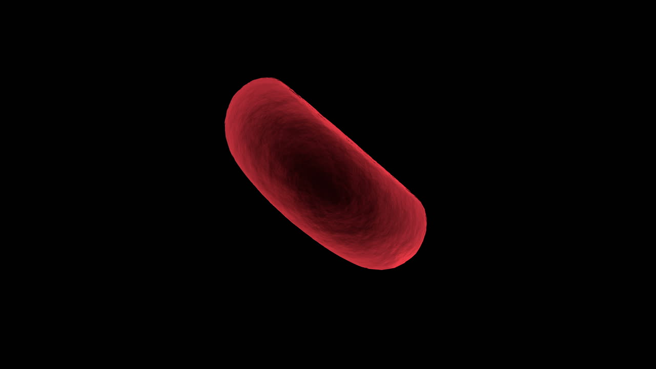 Digitally generated red blood cell against black background