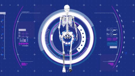 Animation-of-medical-data-processing-and-scope-scanning-with-human-skeleton-on-blue-background