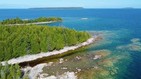 dolly in,shot green pines trees on the coast of lake huron in georgian bay