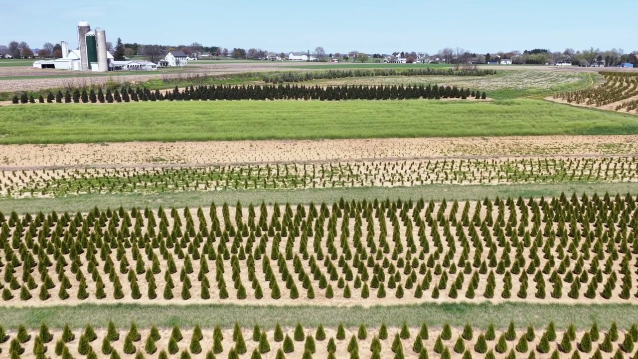 Aerial drone view of cultivated farmland in rural Pennsylvania, with neatly planted crop rows, open fields, farm silos and scenic agricultural landscape in USA. Flyover shot.