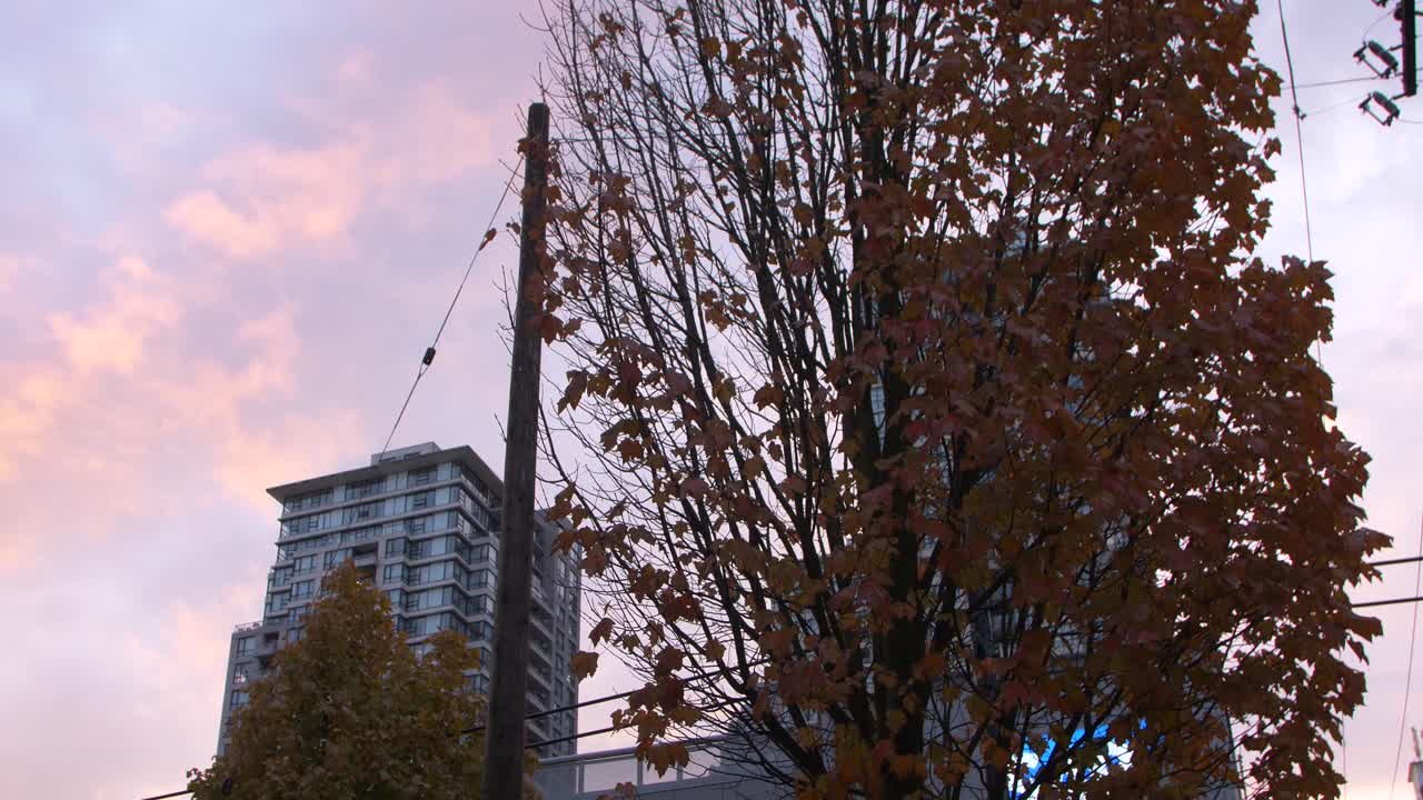 autumn sunset of fall in downtown