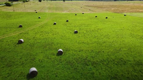 vista aérea de fardos de heno en el campo agrícola verde, heno rescatado secándose en tierras de rancho, la paja se comprime en roles, día soleado de verano, amplio y revelador disparo de drone avanzando