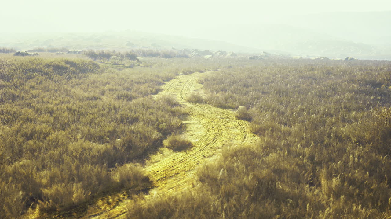 Winding path through golden grassland in bright sunlight during mid afternoon