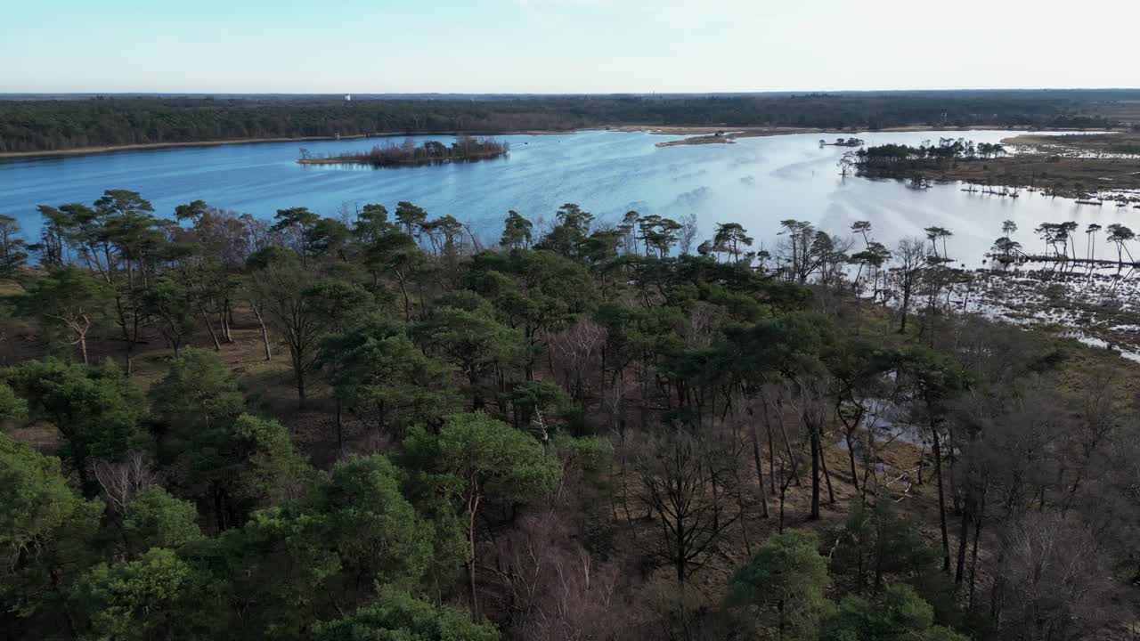 drone kalmthoutse heide moviéndose en movimiento circular sobre los bosques frente a los humedales y luego revelando el área de madera