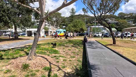 people enjoying sculptures at currumbin beach