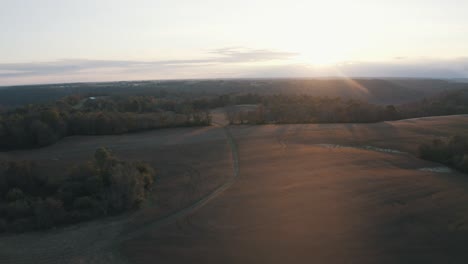 corn field at sunset