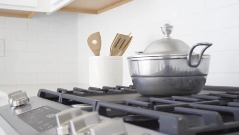 kitchen kettle and stove top in model home