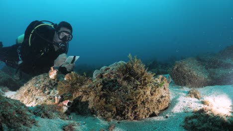 Ein-Taucher-Und-Ein-Meeresbiologe-Schwimmen-über-Einem-Riffsystem-Im-Tiefen-Ozean-Und-Schreiben-Dabei-Auf-Einer-Unterwassertafel.