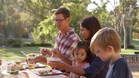 Zwei-Familien-Essen-An-Einem-Picknicktisch-In-Einem-Park,-Nahaufnahme