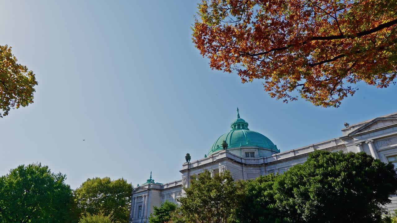 Low-angle view of the Tokyo National Museum (Honkan) green dome framed by bright autumn leaves