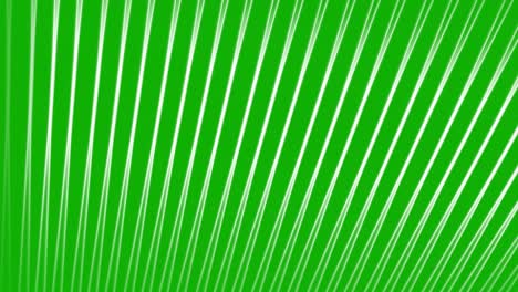 digital stripes motion graphics with green screen background