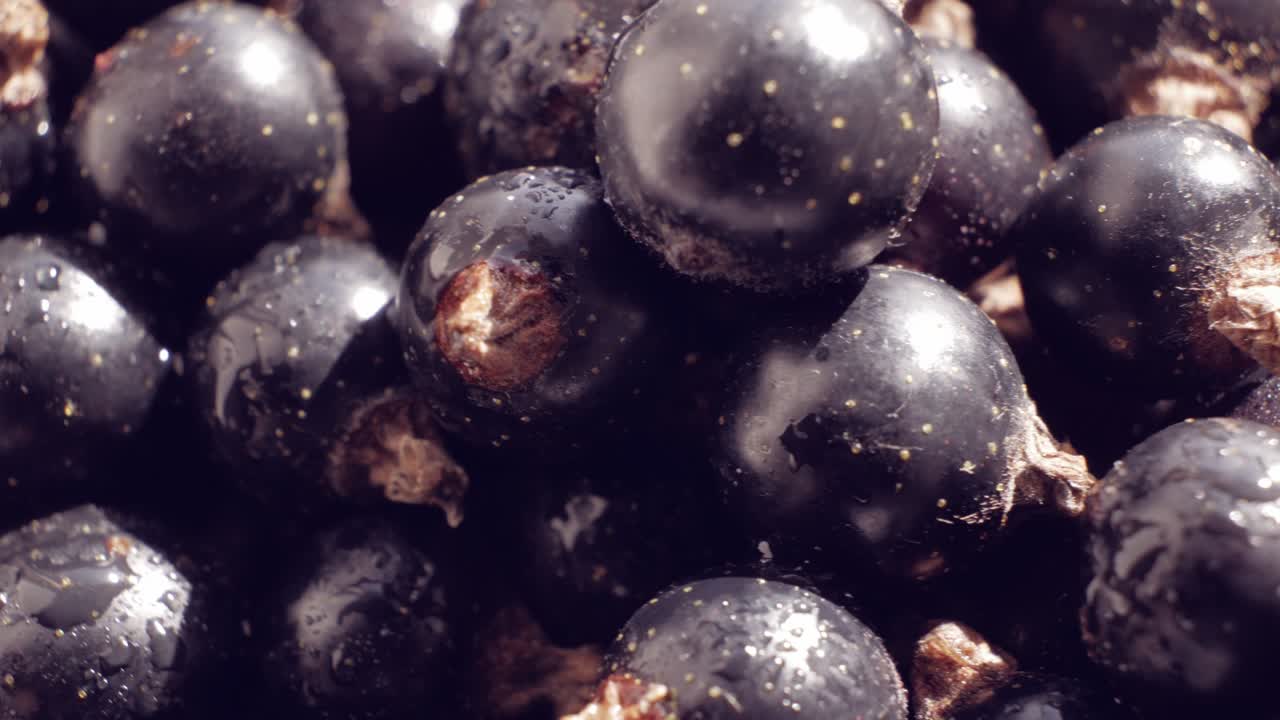 블랙커런트 (blackcurrant) - 고성분 항산화 물질을 함유한 슈퍼푸드, 아스코르빅산과 비타민 c, 부드러운 회전.