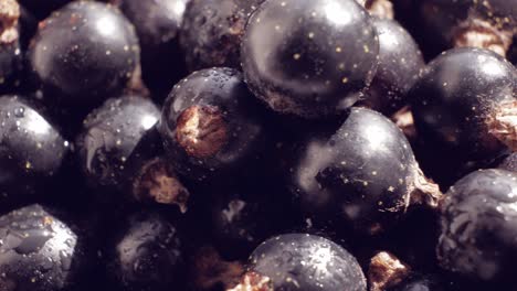 superalimento con un alto contenido de antioxidantes naturales. ácido ascórbico y vitamina c. rotación suave.