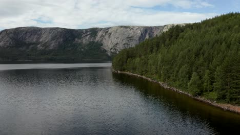 aerial past a forest on the nisser lake and the langfjell mountain range in the background, treungen, telemark, norway