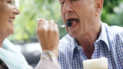 senior woman feeding senior man dessert 4k