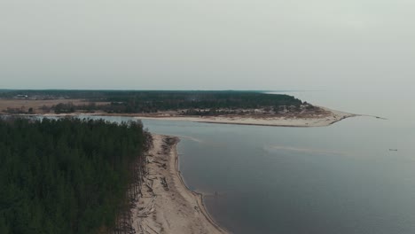 Toma-Aérea-El-Río-Gauja-Desemboca-En-El-Mar-Báltico-Golfo-De-Riga,-Letonia-Pinos-Rotos-Después-De-La-Tormenta-Y-La-Orilla-Arrastrada