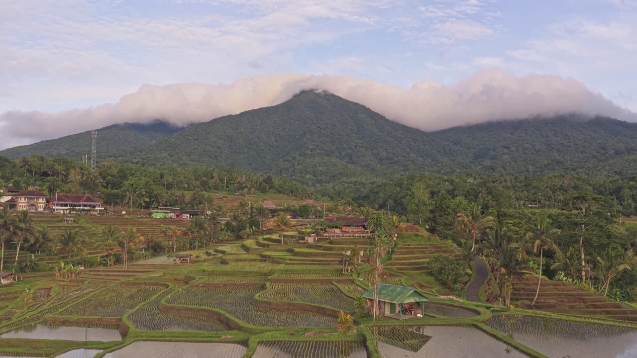 Pemandangan udara sawah terasering Jatiluwih dan Gunung Batukaru di Bali.