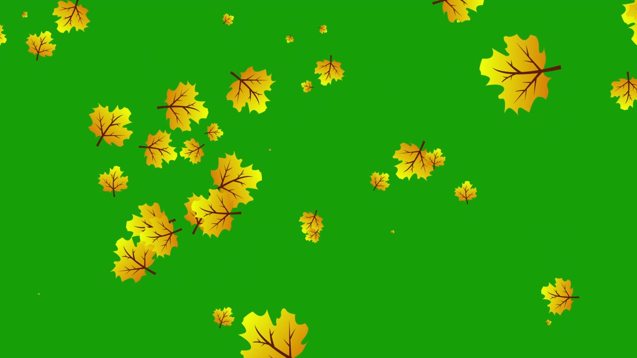 Foglie d'acero autunnali che cadono su sfondo green screen