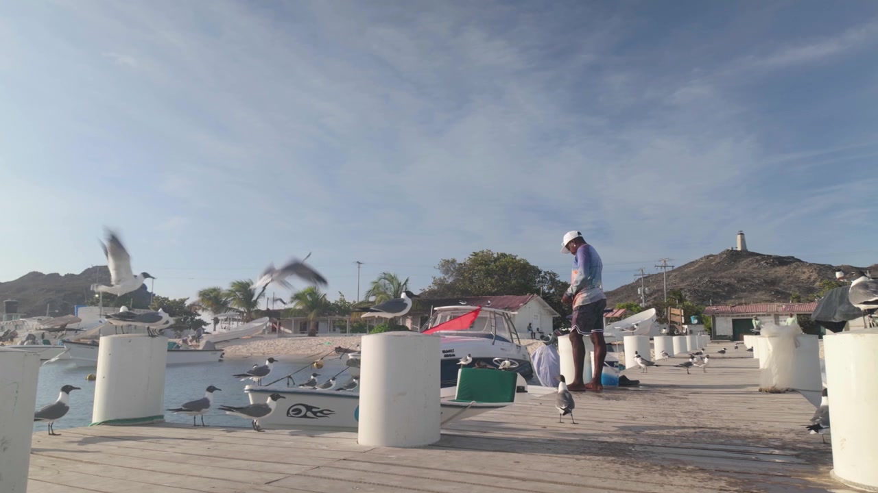 Cinematic 4K Log footage Authentic tropical island fishing scene at the end of the day. Fishermen stand near small boats on a wooden pier while seabirds and gulls gather around the dock.