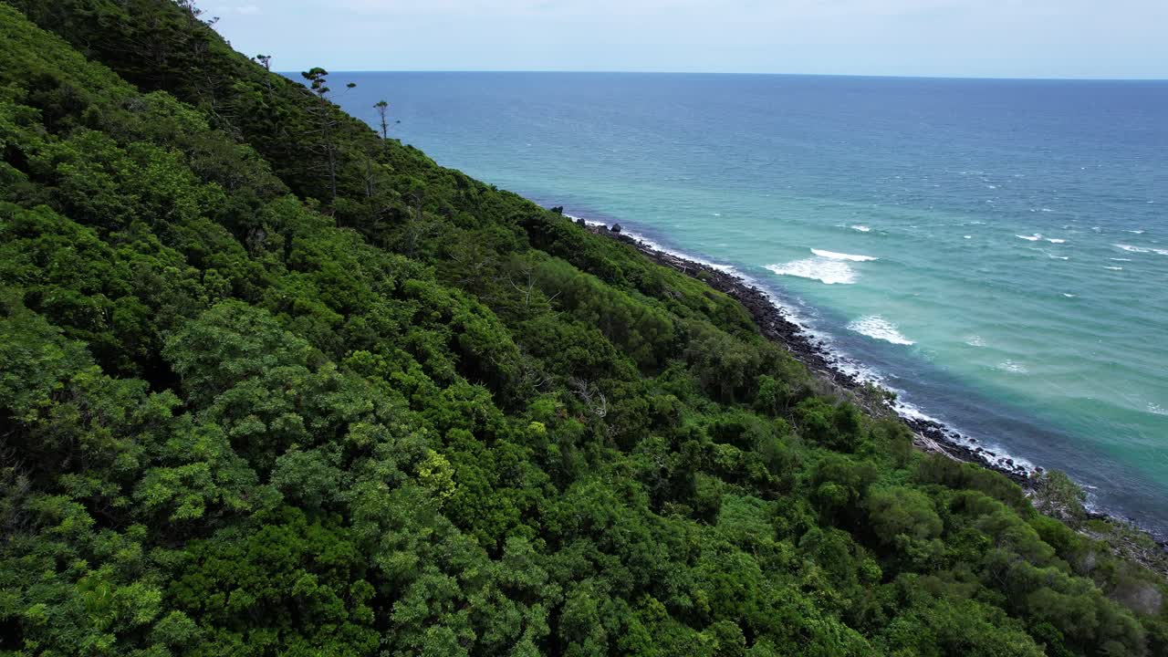 Tiheät puut sademetsässä Burleigh Headin kansallispuistossa – Rannikkokallio Burleigh Headsissa, Queensland, Australia. – Ilmakuva