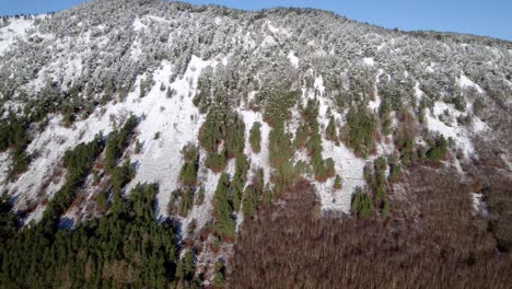 snow-covered mountain with green trees on the side