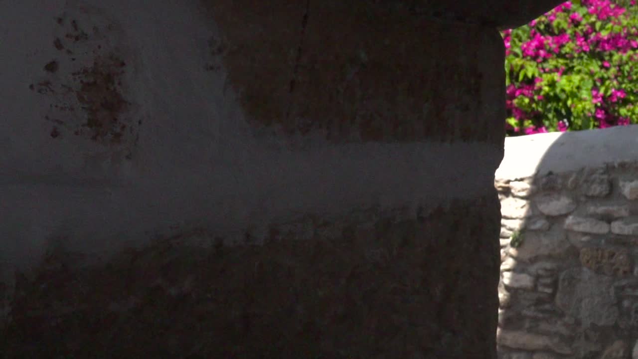 배경 슬로우 모션으로 꽃과 함께 골목의 아치를 걷는 아름다운 흰색 여름 드레스를 입은 소녀의 슬라이드 공개