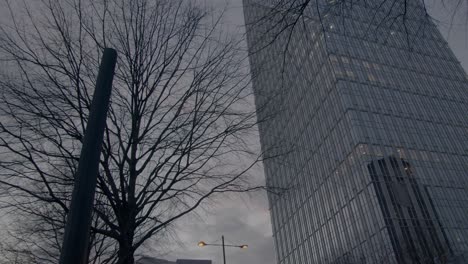 Un-Rascacielos-Detrás-De-Un-árbol,-Formando-El-Buckhead,-El-Horizonte-De-Atlanta