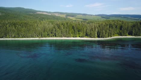 plano diurno aéreo volando sobre el océano azul hacia la playa de arena prístina y los pinos del bosque antiguo en la isla de vancouver, columbia británica, canadá