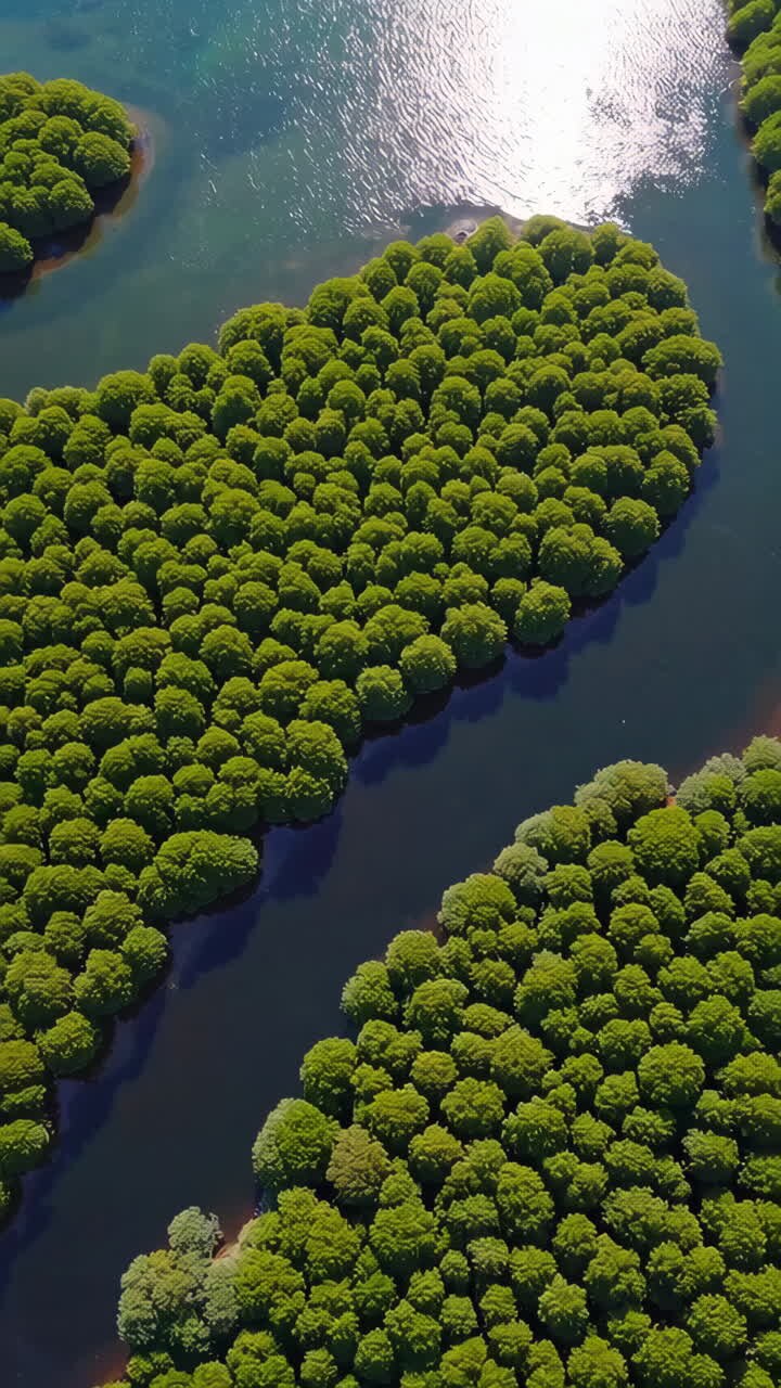 Aerial View of Lush Green Islands in Water