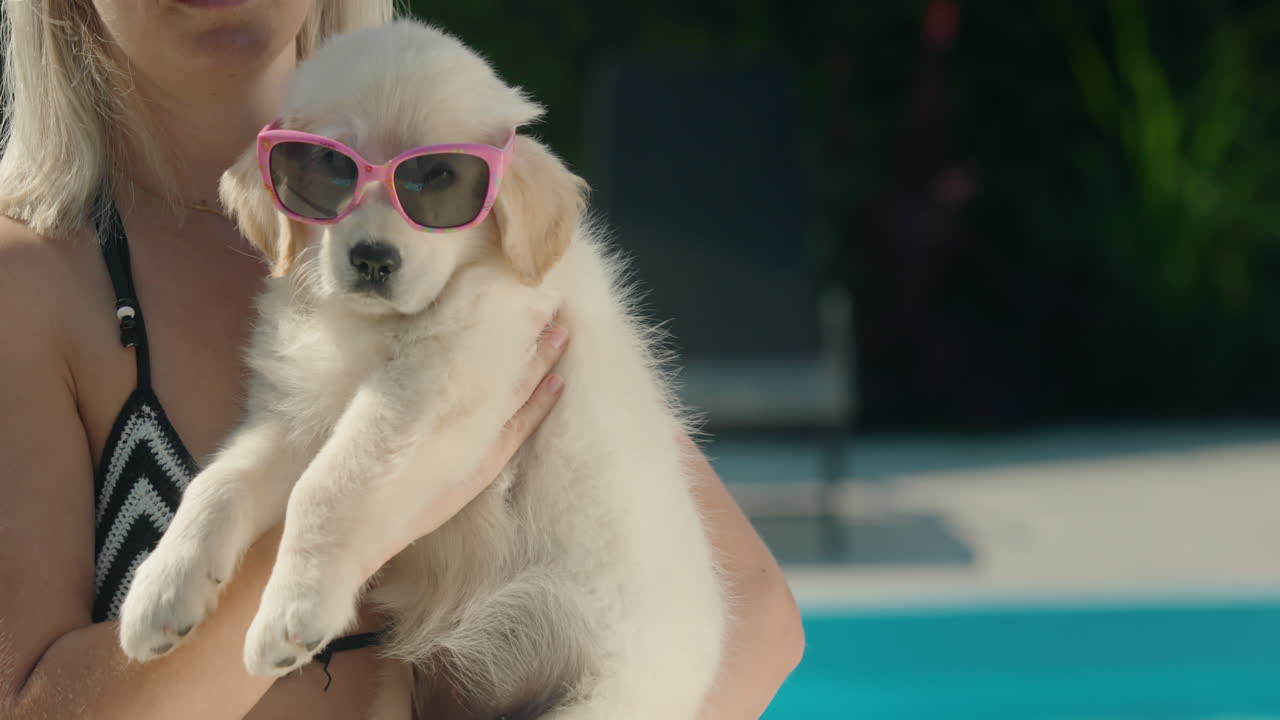 una mujer en bikini sostiene a un cachorro rubio con gafas de sol en sus brazos. verano y vacaciones con un concepto de mascota